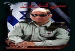 في عهد السيسي .. متحدث جيش الصهاينة يتمنى الفوز لمصر !!