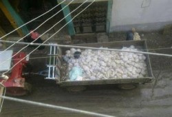 صورة وتعليق