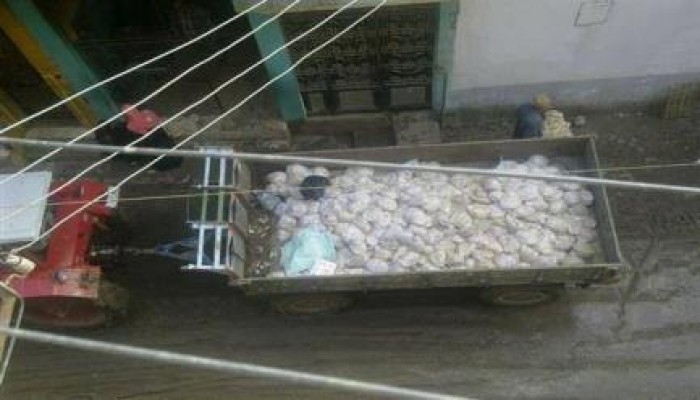 صورة وتعليق