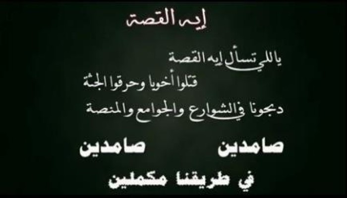 كليب رائع ضد الانقلاب - صامدين صامدين في طريقنا مكملين (فيديو)