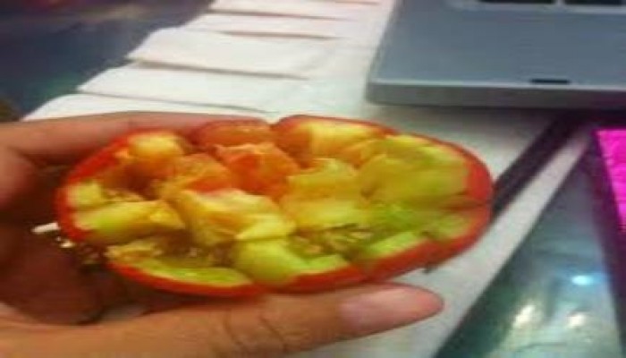 "كارثة" .. انتشار الطماطم المحورة وراثياً بالأسواق المصري (تقرير)