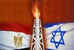 ميدل ايست مونيتور: مصر تتفاوض على شراء الغاز من الكيان الصهيوني