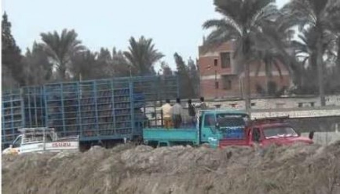 تهريب أنابيب الغاز بالإسماعيلية جهارا مع غياب رقابة