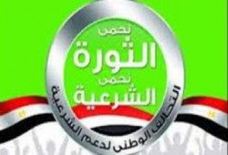 الحصاد اليومي لمظاهرات الشرعية مصر تواصل الإنتفاضة رفضا لحكم العسكر
