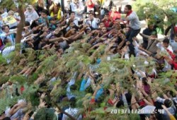 صورة من تظاهرات طلاب حلوان ضد الانقلاب