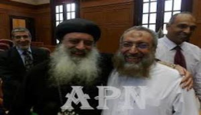 إفك حزب النور ودستور لجنة السفهاء  (1 / 2 )