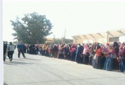 سلسلة بشرية ومسيرة بالجامعة القديمة بالإسماعيلية رفضا لحكم العسكر