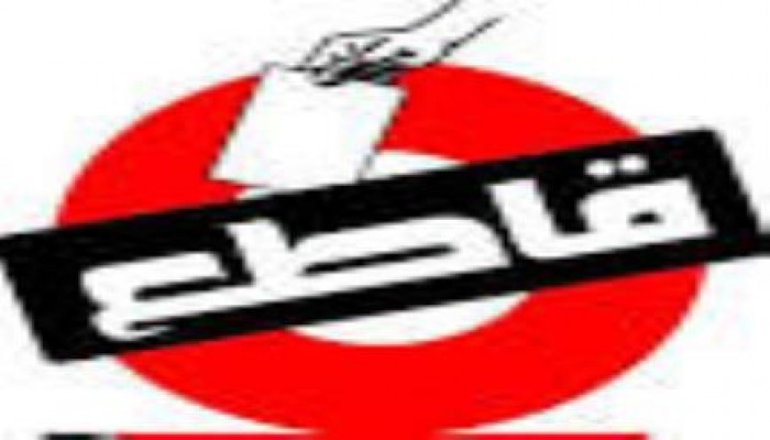 بالفيديو فيلم عن دستور الهام