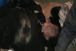 بالفيديو .. سائق تاكسي يدهس متظاهرات بالمنصورة عمدا أثناء مشاركتهن في مسيرة ضد الانقلاب