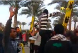 مليونية "دستورنا 2012": وقفة أمام منزل مفتي الانقلاب علي جمعة بـ 6 أكتوبر (فيديو)