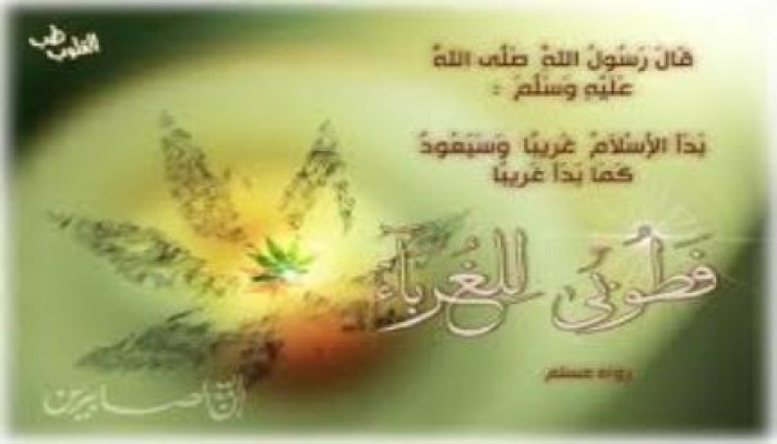 ومضة ايمانية  طوبي للغرباء