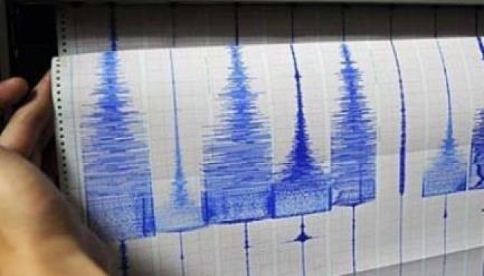 هزة أرضية ضعيفة تضرب مدن شمال مصر