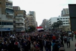 "الشعب يشعل ثورته": أمن الانقلاب يفر هاربا أمام صمود وبسالة ثوار الاسكندرية