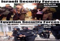 الصهاينة أكثر رحمة من كلاب السيسي (صورة)