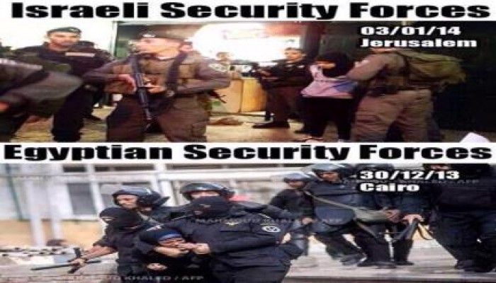 الصهاينة أكثر رحمة من كلاب السيسي (صورة)