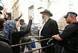 صورة وتعليق ..