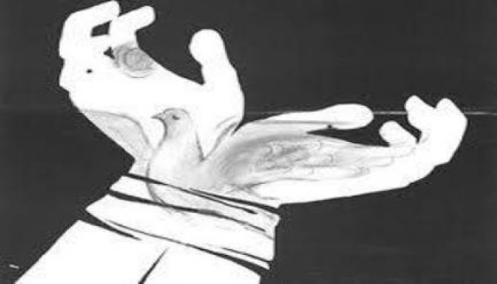 بيان المرصد المصري للحقوق والحريات بشأن تحريض قنصلية مصر بباريس علي العنف ضد المصريين