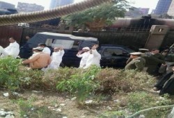 إخلاء سبيل 33 من معارضي الانقلاب بسوهاج ورفض طعن النيابة