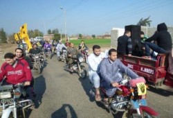 المنوفية ..3 فعاليات تحية لصمود الرئيس ورفض محاكمته