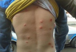 تحالف القوي الشبابية يعلن الإستنفار العام ببني سويف بعد اعتقال 20 متظاهر بينهم سيدات