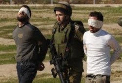 الصهاينة يعتقلون  120 فلسطينيا في 10 ايام وهو ما لم يحدث خلال عهد الرئيس مرسي