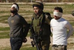 الصهاينة يعتقلون  120 فلسطينيا في 10 ايام وهو ما لم يحدث خلال عهد الرئيس مرسي