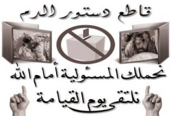 نور الدين محمود يكتب : ويل للانقلاب من .. غضب الشباب