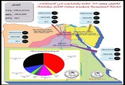 دراسة ميدانية: 11% فقط يشاركون في الاستفتاء، الكتلة المسيحية ومؤيدو مبارك الأكثر مشاركة
