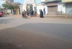 بالصور لجان المنوفية خاوية على عروشها