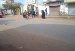 بالصور لجان المنوفية خاوية على عروشها