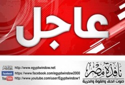 مصانع الانتاج الحربي تشحن العاملين للجان استفتاء الدم للتصويت بـ"نعم"