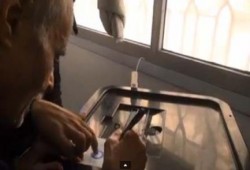 الجيش يصوت للناخبين بلجان المنوفية