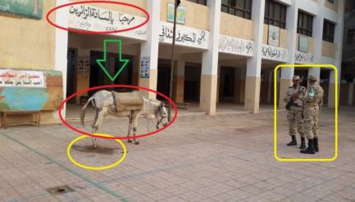 عطوان : صورة لخصت استفتاء العسكر اليوم ...