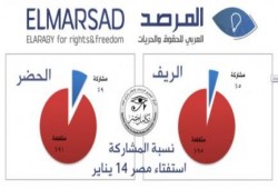 مركز مصري لقياس الرأي العام .. نسبة المشاركة بالاستفتاء حتى الآن 8% فقط