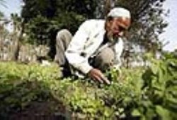 بوادر استقرار دستور العسكر : صدمة لفلاحي مصر  "رفع ضريبة الأطيان الزراعية 10 أمثالها"