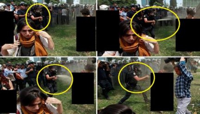 تركيا : الحكم على ضابط بالسجن 3 سنوات لرشة رذاذ الفلفل في وجه متظاهرة