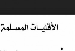 نشطاء يطالبون بحقوق الأقليات المسلمة في مصر