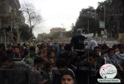 ابوحماد تنتفض فى أسبوع الصمود وفاء للشهداء(صور)