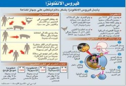 ننشر نصائح للوقاية من إنفلونزا الخنازير