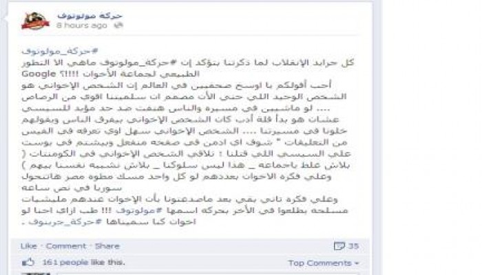 حركة مولوتوف تبرئ الإخوان من عمليات العنف وتنتقد  سلميتهم