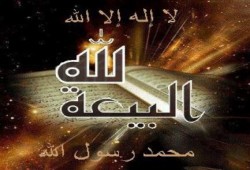 علي كمال  يكتب : " أليس فيكم صغاطر " ؟؟!!