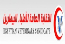 "البيطريين" تمهل حكومة الإنقلاب أسبوعين لضمهم للكادر