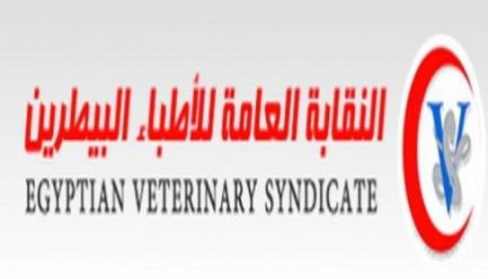 "البيطريين" تمهل حكومة الإنقلاب أسبوعين لضمهم للكادر
