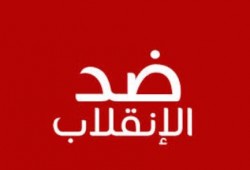 199 دولة لم تعترف بالانقلاب العسكري في مصر بينما اعترفت به 15 دولة فقط