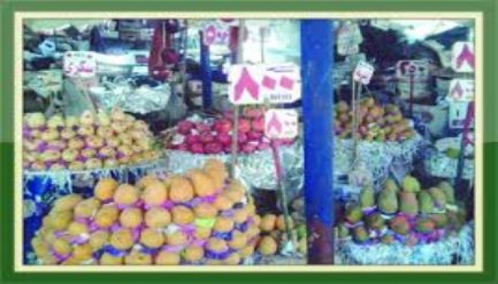 بالفيديو سخط شعبي من غلاء الاسعار الفاحش في مصر