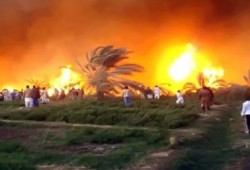 حريق هائل يقضي على 120 فدان قصب سكر بالأقصر