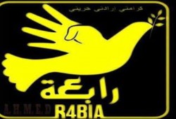 إخلاء سبيل 8 طالبات أزهريات وآخرين