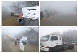 بالصور.. سلسلة بشرية لحركة 7 الصبح بالمنوفية