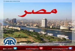 انقلاب مصر :  200 مليون دولار خسائر الطيران الخاص بمصر خلال حكم السيسى