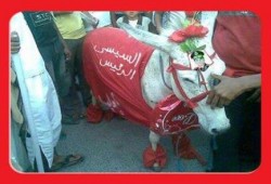 صورة نادر للسيسى اثناء احدى التظاهرات